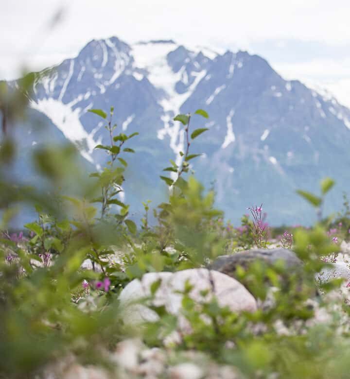 photo of scenic landscape with mountains in background