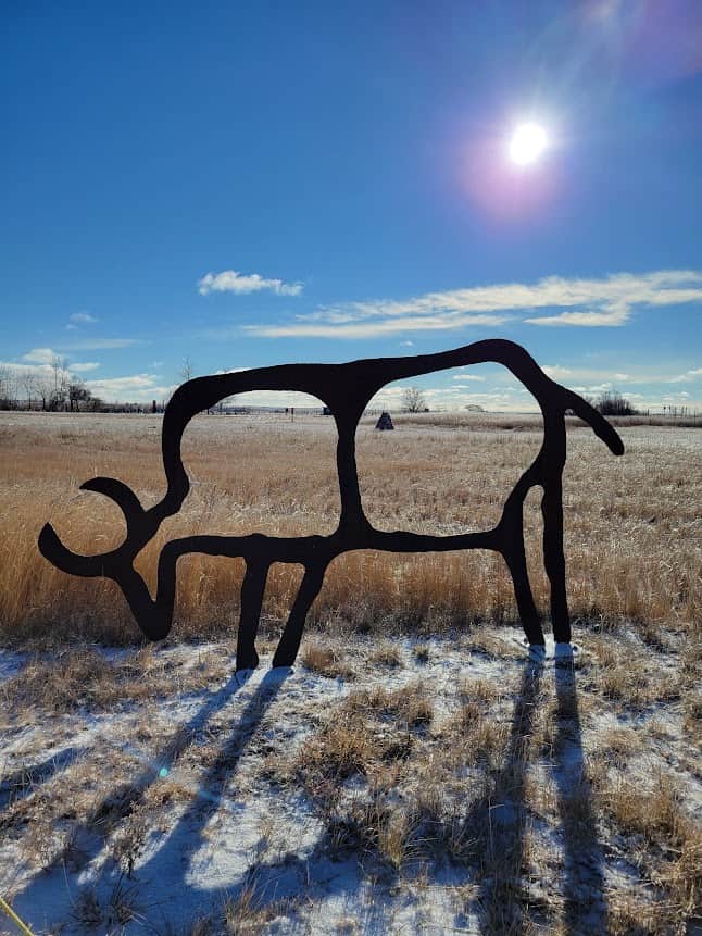 photo of bisson sculpture standing in snow covered field of grain