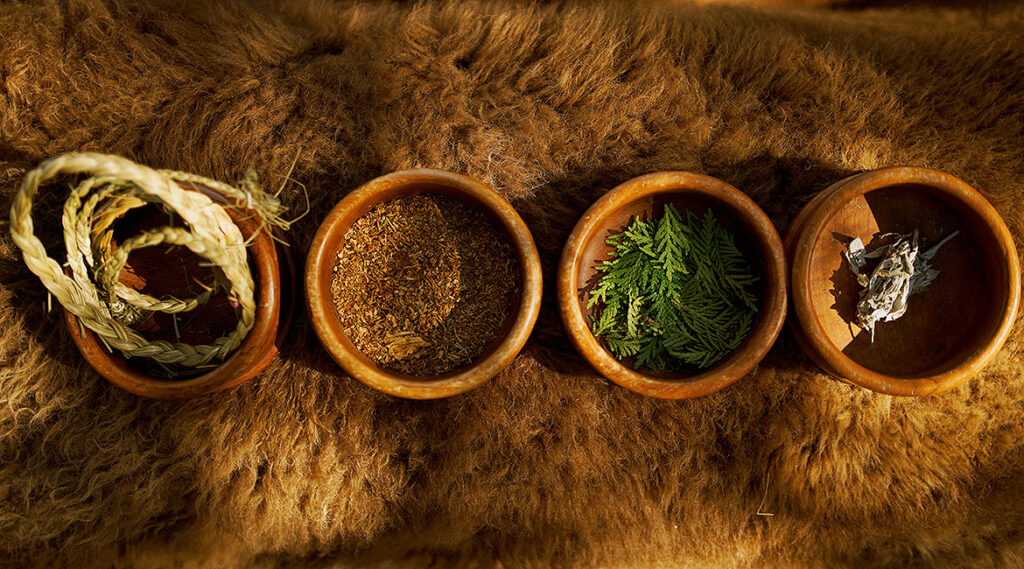 photo of four bowls of indigenous medicines